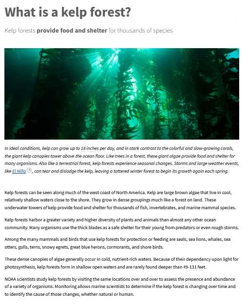 a minimalistic webpage with a text section and single image